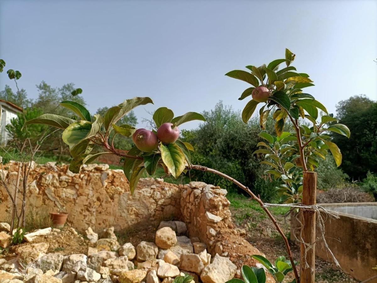 Casalinho In Portugal Country House 托马尔 外观 照片