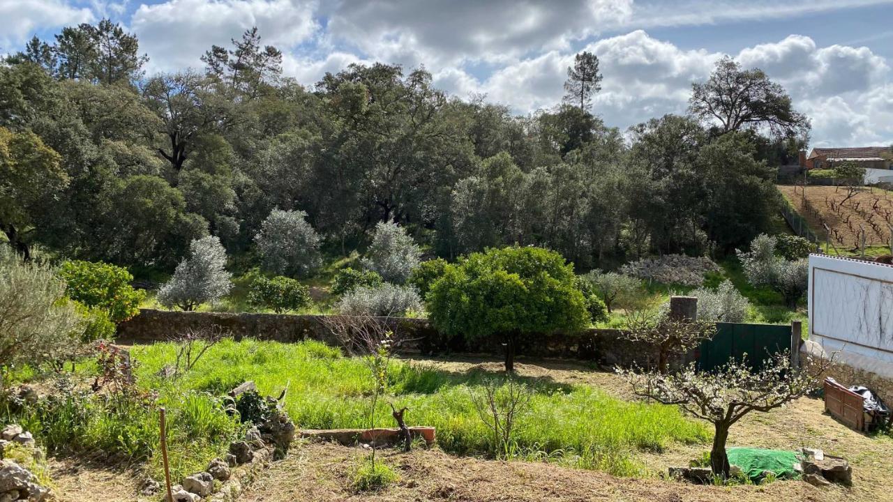 Casalinho In Portugal Country House 托马尔 外观 照片