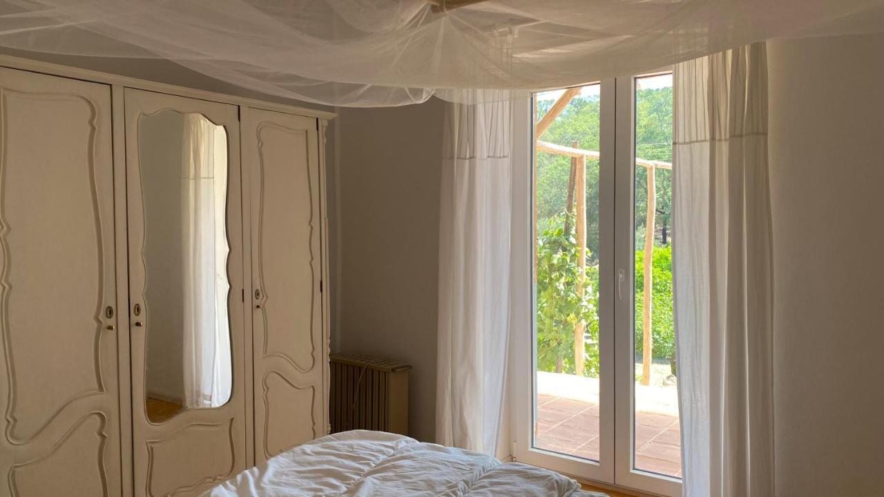 Casalinho In Portugal Country House 托马尔 外观 照片
